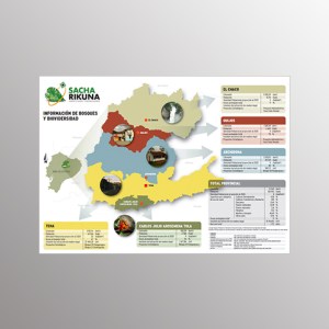 Infografias